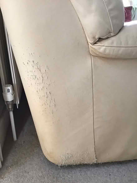 Photo of free Leather sofas (Redhill RH1) #3
