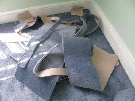 Photo of free Carpet offcuts (Talysarn LL54) #2