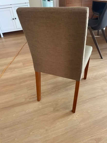 Photo of free Dining room chairs (Nedlands) #2
