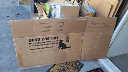 Photo of free 10+ Moving Boxes (CT1) #3