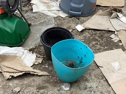 Photo of free Garden Plant Pots (Ottawa West) #1