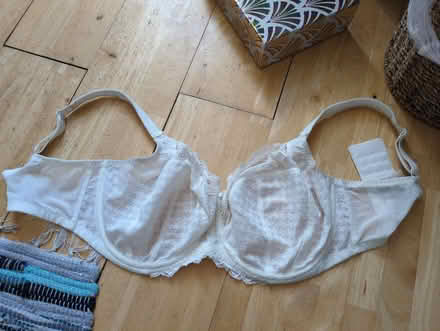 Photo of free Panache bra 34 GG (Heaton NE6) #1