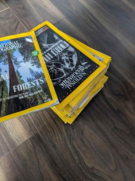 Photo of free National geographic (Upper clapton) #1