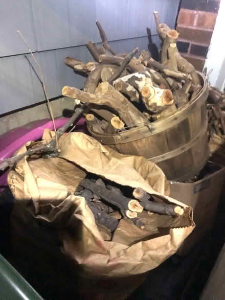 Photo of free Bags of firewood for outdoor use (East Watertown) #3