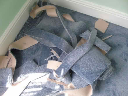 Photo of free Carpet offcuts (Talysarn LL54) #1
