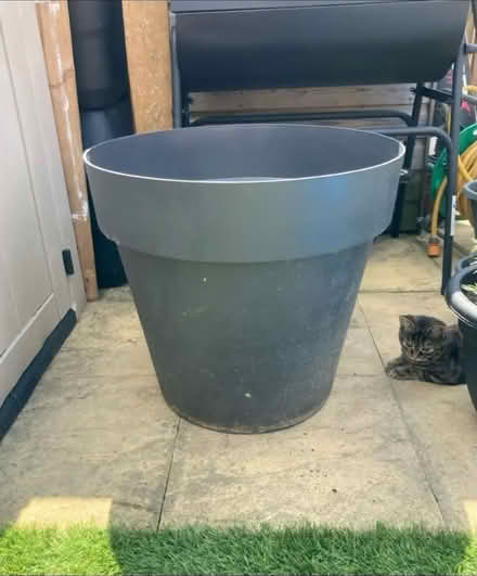 Photo of free Large garden pot (Headcorn TN27) #2