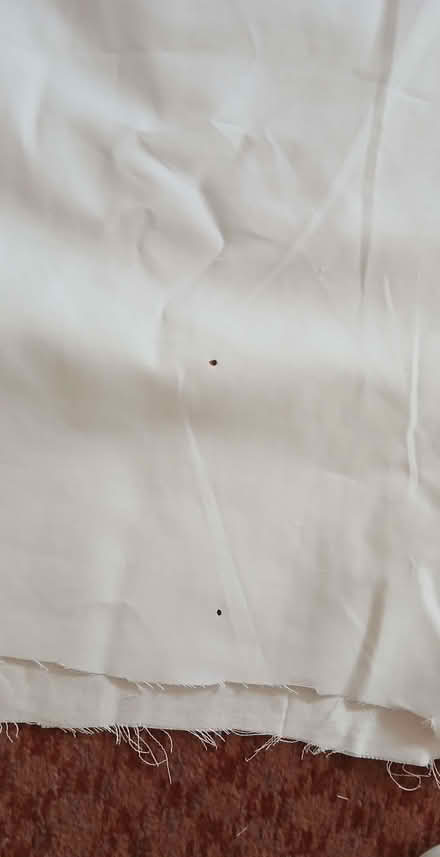 Photo of free Curtains (Lexden CO3) #4