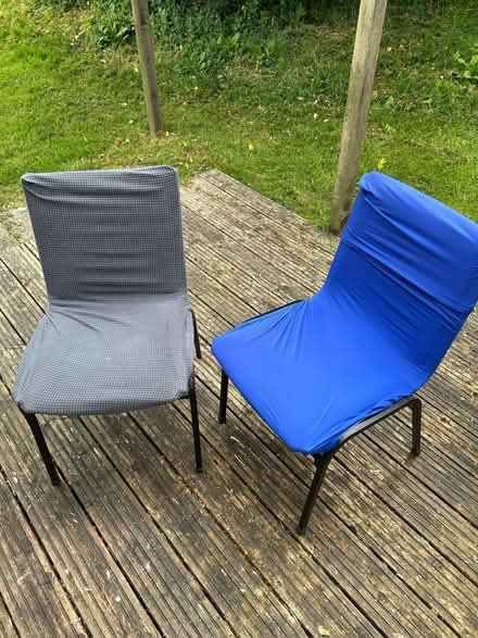 Photo of free Chairs (East Tisted GU34) #1