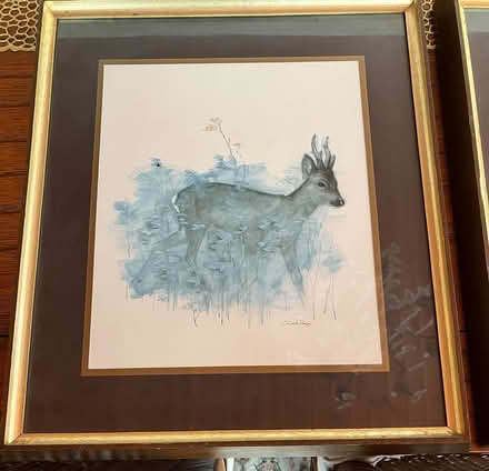Photo of free Framed pictures (Ballyvolane) #3