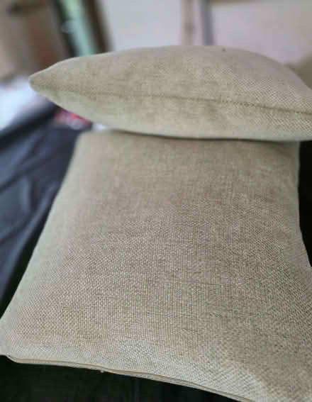 Photo of free 3 feather cushions (Berkhamsted HP4) #1