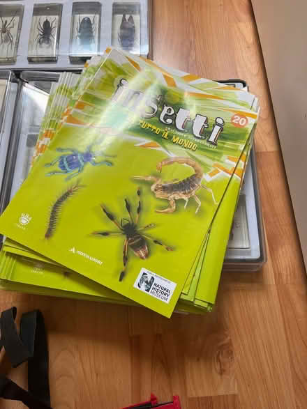 Photo of free Insect lovers anywhere (Sw11) #2