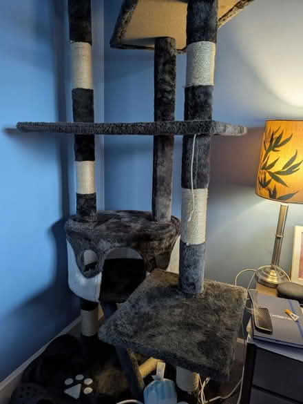 Photo of free Tall Cat tree (Rawmarsh, S62) #3