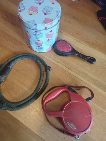 Photo of free Dog accessories (Dunkerton BA2) #1