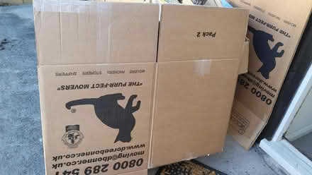 Photo of free 10+ Moving Boxes (CT1) #1
