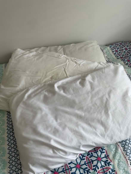 Photo of free Pillows (Felpham) #1