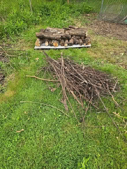 Photo of free Cut Wood (South side Lorain) #2