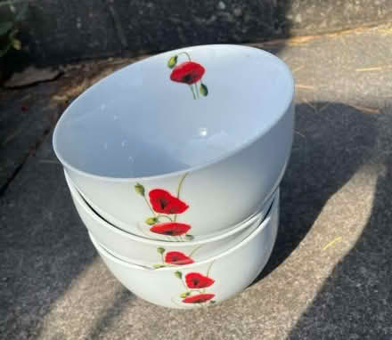 Photo of free 3 x breakfast bowls (Garthmyl SY15) #1