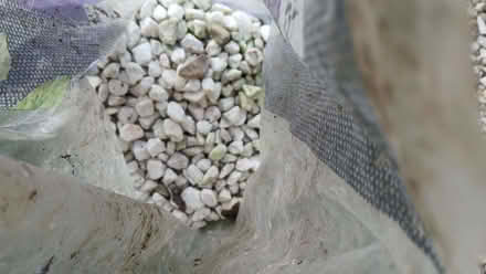 Photo of free French Pearl Gravel (Bowerhill SN12) #3