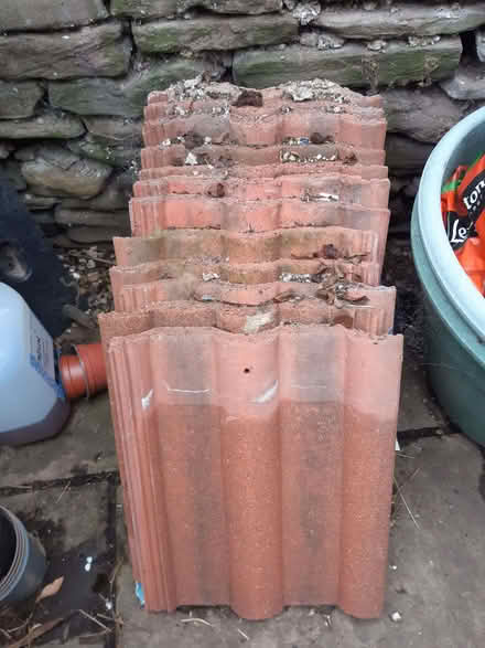 Photo of free 2 Roof tiles (Fishponds BS16) #1
