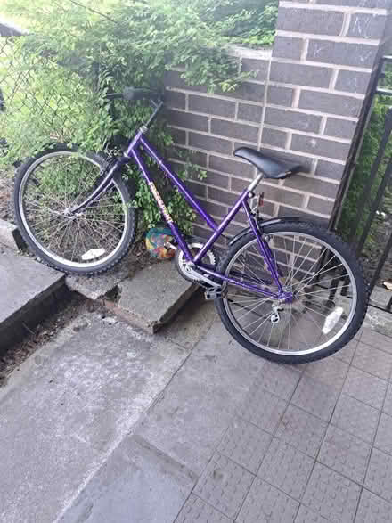 Photo of free bike (G81) #1