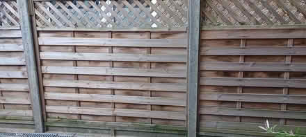 Photo of free 4 fence boards with trellis effect (Loughborough central) #1