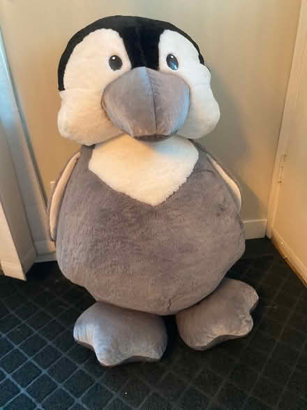 Photo of free penguin stuffed animal (Glenrosa) #1