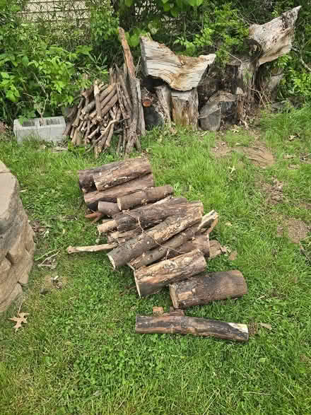 Photo of free Cut Wood (South side Lorain) #1