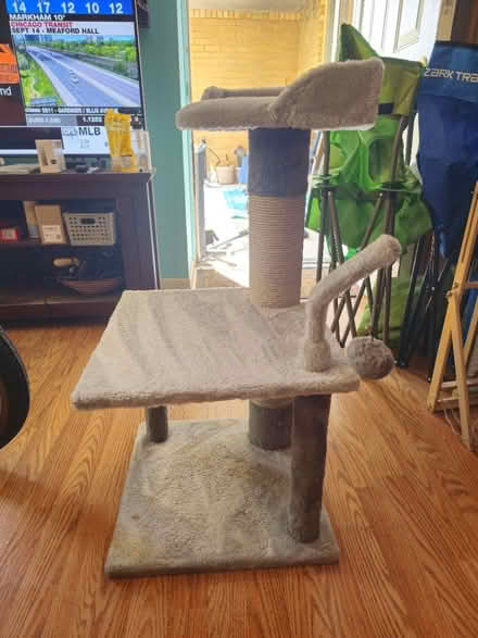 Photo of free Cat Tree (Pape and Eastern Avenue) #1