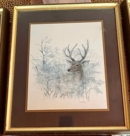 Photo of free Framed pictures (Ballyvolane) #2