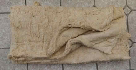 Photo of free Kapok (Aberporth, Ceredigion SA43) #2