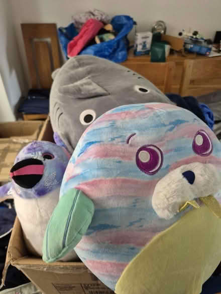 Photo of free New Toys (Stanley Common DE7) #1
