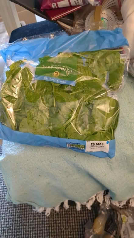Photo of free Spinach (Braithwaite BD22) #1