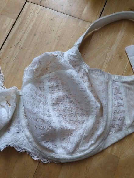 Photo of free Panache bra 34 GG (Heaton NE6) #2