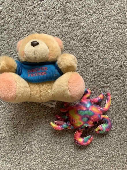 Photo of free Cuddly toys (Aspley, NG8) #1