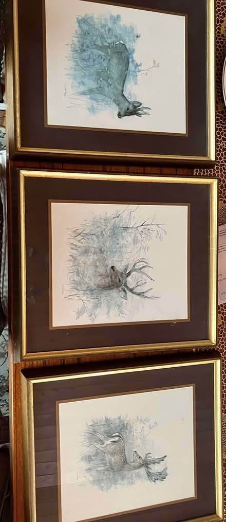 Photo of free Framed pictures (Ballyvolane) #4