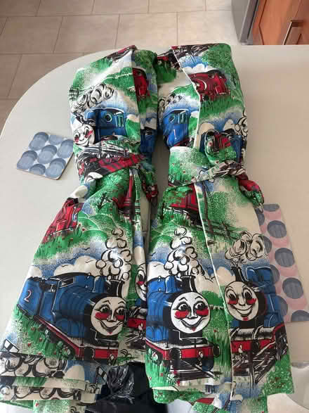 Photo of free Thomas the tank engine curtains (Warners End HP1) #1