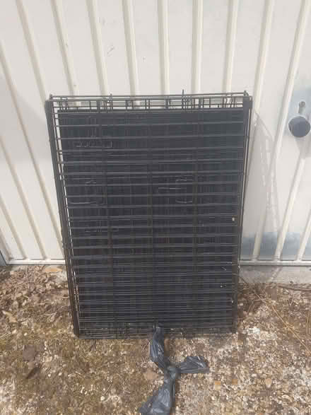 Photo of free Dog metal cage (Surrenden BN1) #1