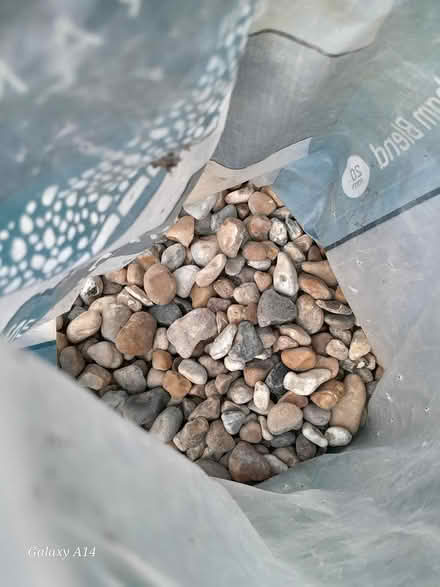 Photo of free Pebbles (St Andrews BS6) #1