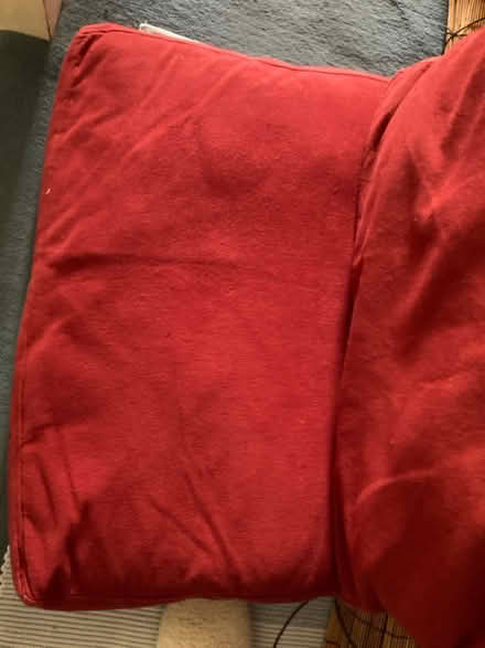 Photo of free 2 futon cushions (Ivybridge, Devon) #2