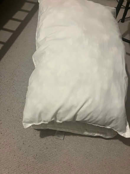 Photo of free 3 pillows (Bedminster BS3) #2
