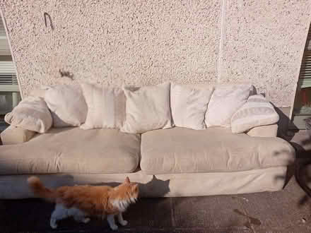 Photo of free Sofa (Newcastle county dublin) #2