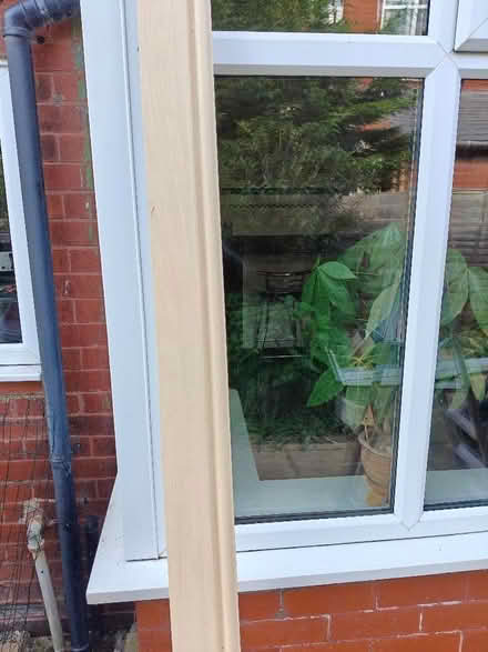 Photo of free Skirting board (Larches PR2) #1