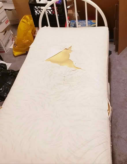 Photo of free Toddler bed frame (East Mississauga) #1