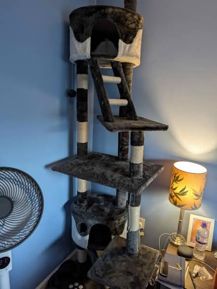 Photo of free Tall Cat tree (Rawmarsh, S62) #1