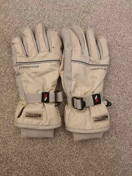 Photo of free Winter gloves (Highgate N6) #1