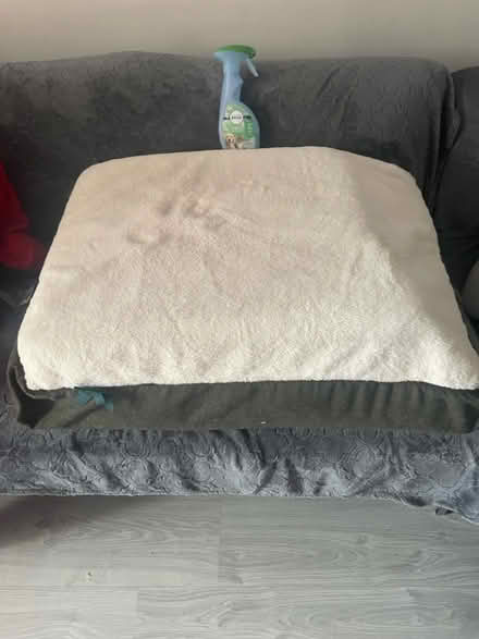 Photo of free Large dog bed (St Albans AL1) #1