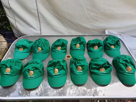 Photo of free Primary Age Hats x 12 (Booker HP12) #1