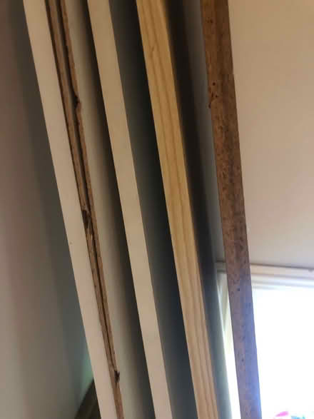 Photo of free Scrap bits of wood (TN2) #2