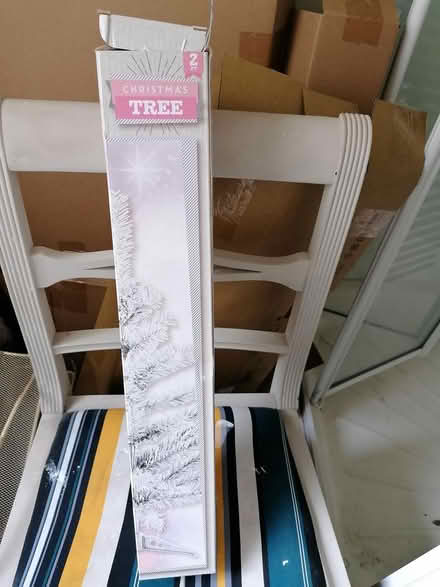 Photo of free 2ft Christmas tree (Dublin 1) #2