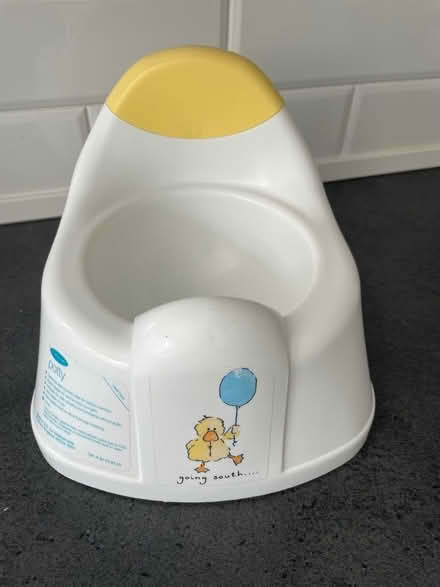 Photo of free Potty (Stone Cross BN23) #1